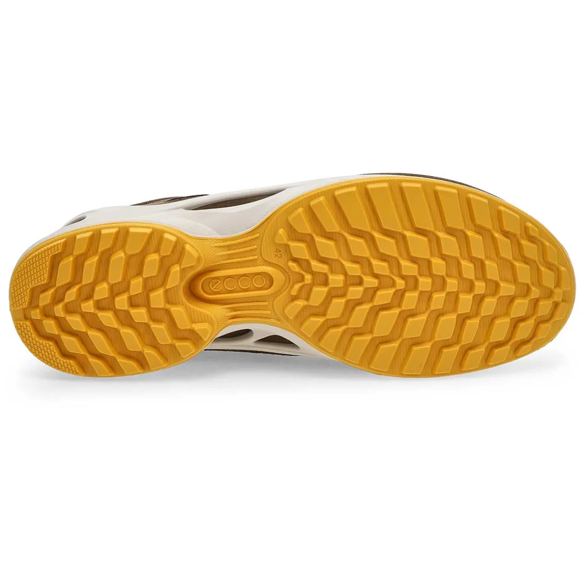 Biom Energi Explorer Men