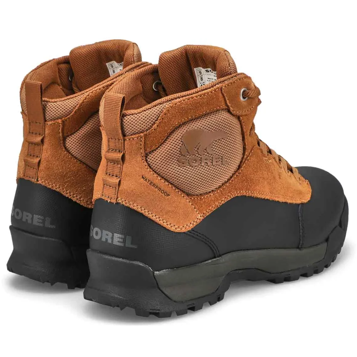 Buxton Lite Lace Men