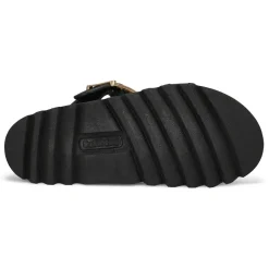 Dyana Women