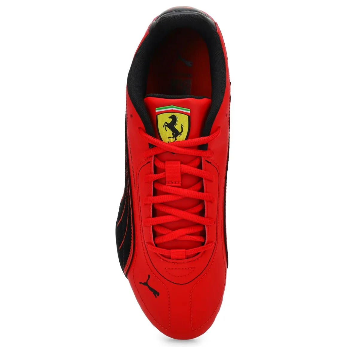 Ferrari Catch Men