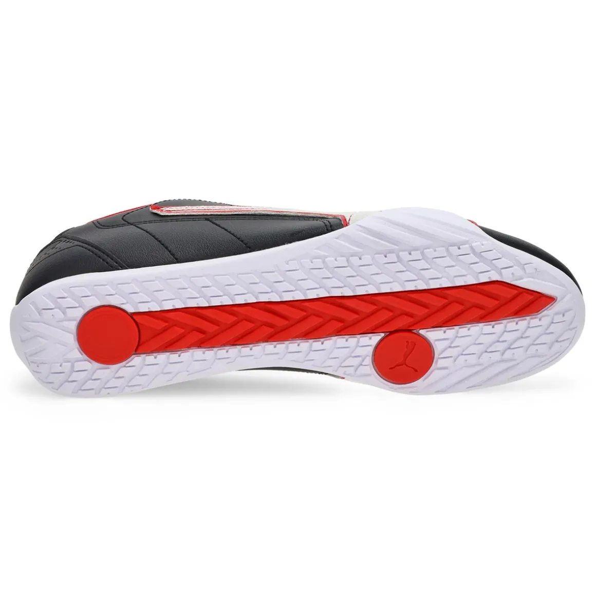 Ferrari Puma Catch Men