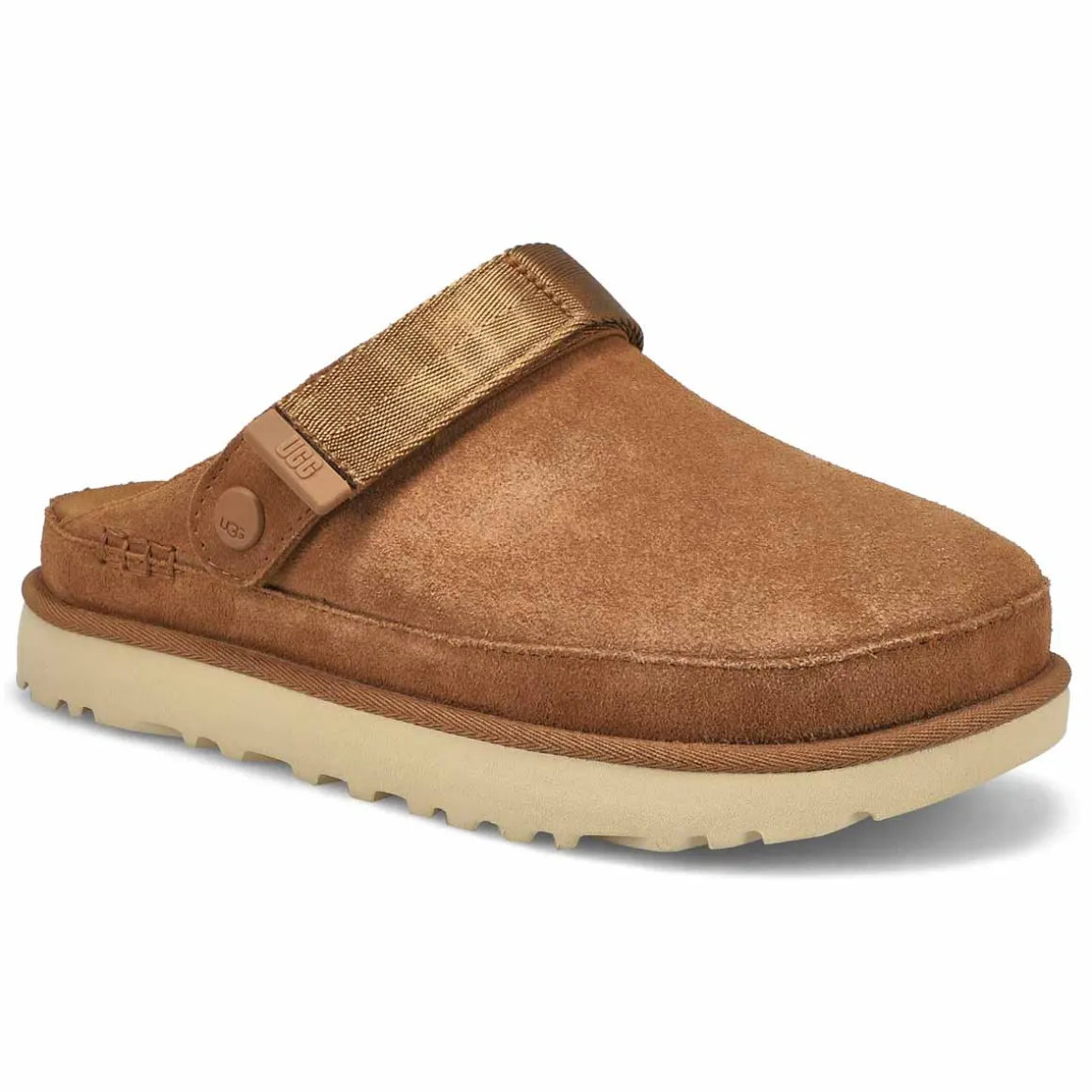 Goldenstar Meadow Accent Women