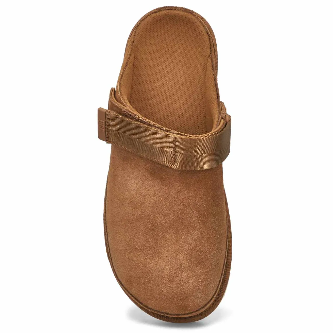 Goldenstar Meadow Accent Women
