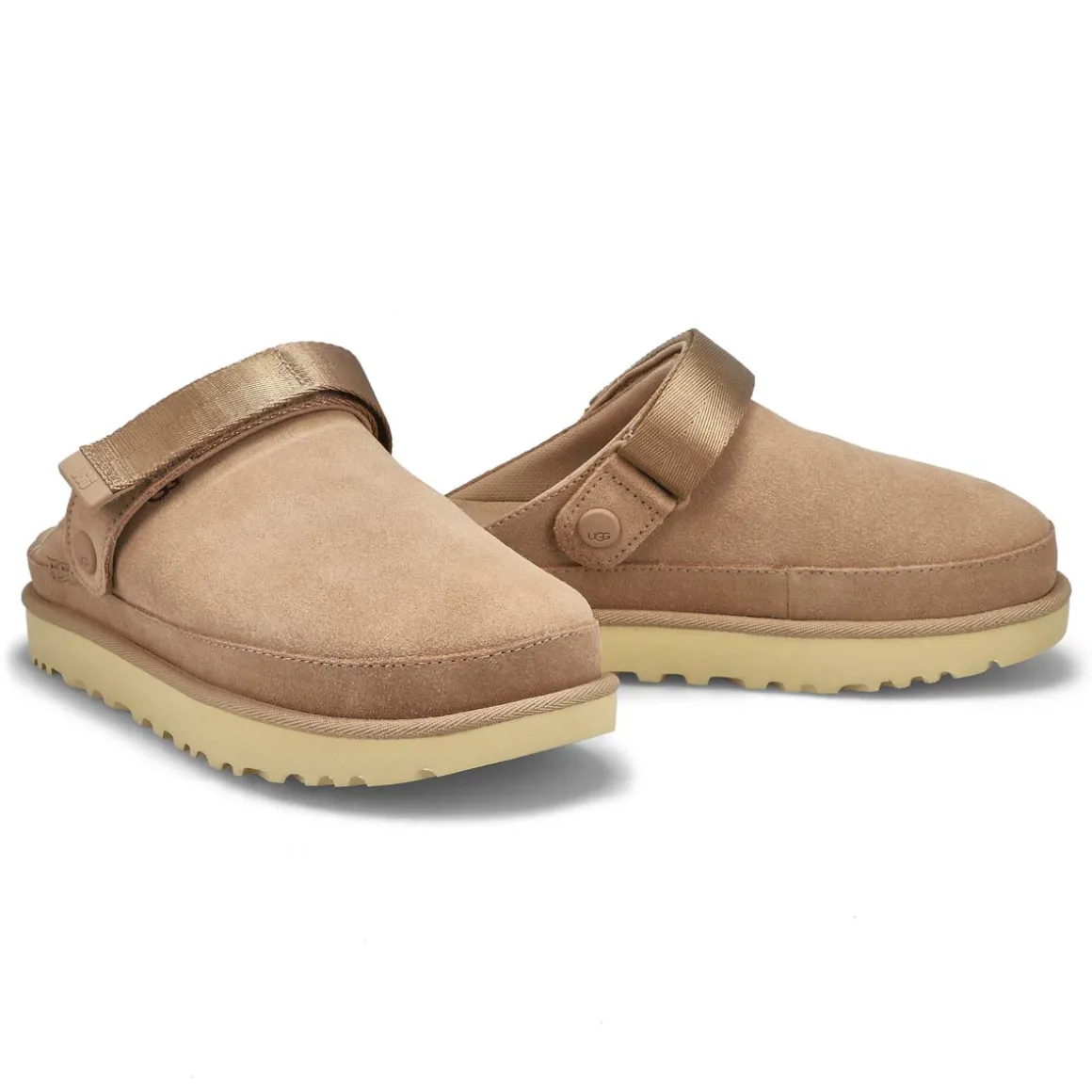 Goldenstar Meadow Accent Women