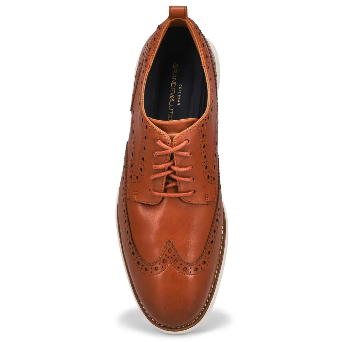 Grand Evolution Shortwing Men