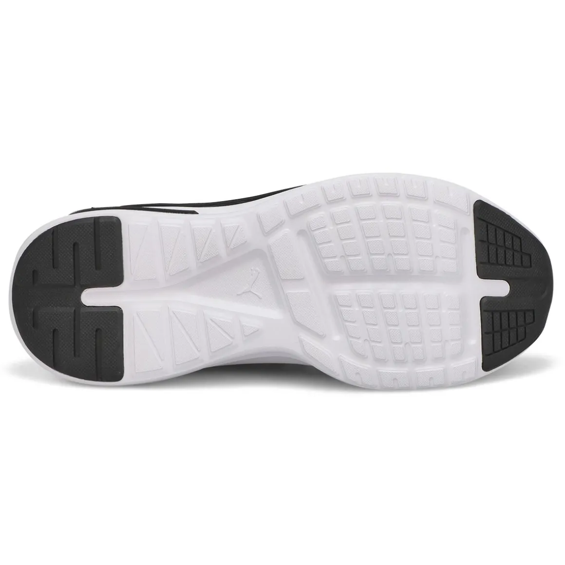 Softride Enzo Evo Women