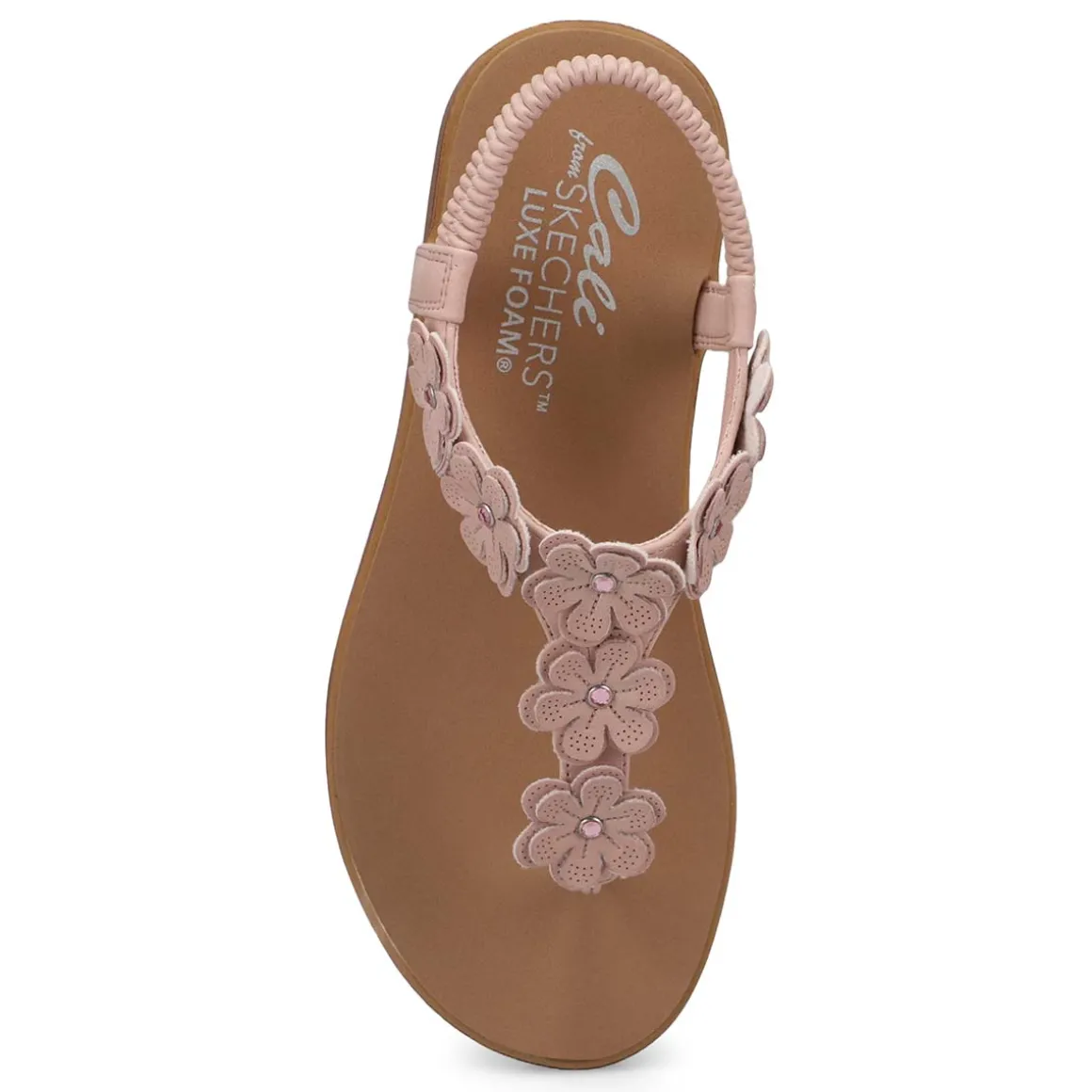 Summer Cove Women