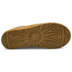 Tasman II Men
